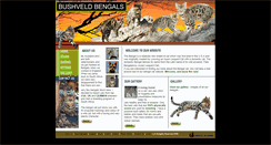 Desktop Screenshot of bushveldbengals.co.za